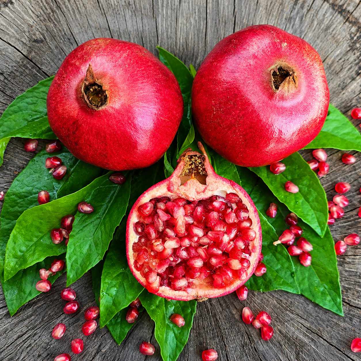 Wonderful Pomegranate Tree