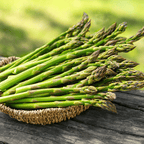 Mary Washington Asparagus – 50 Seeds