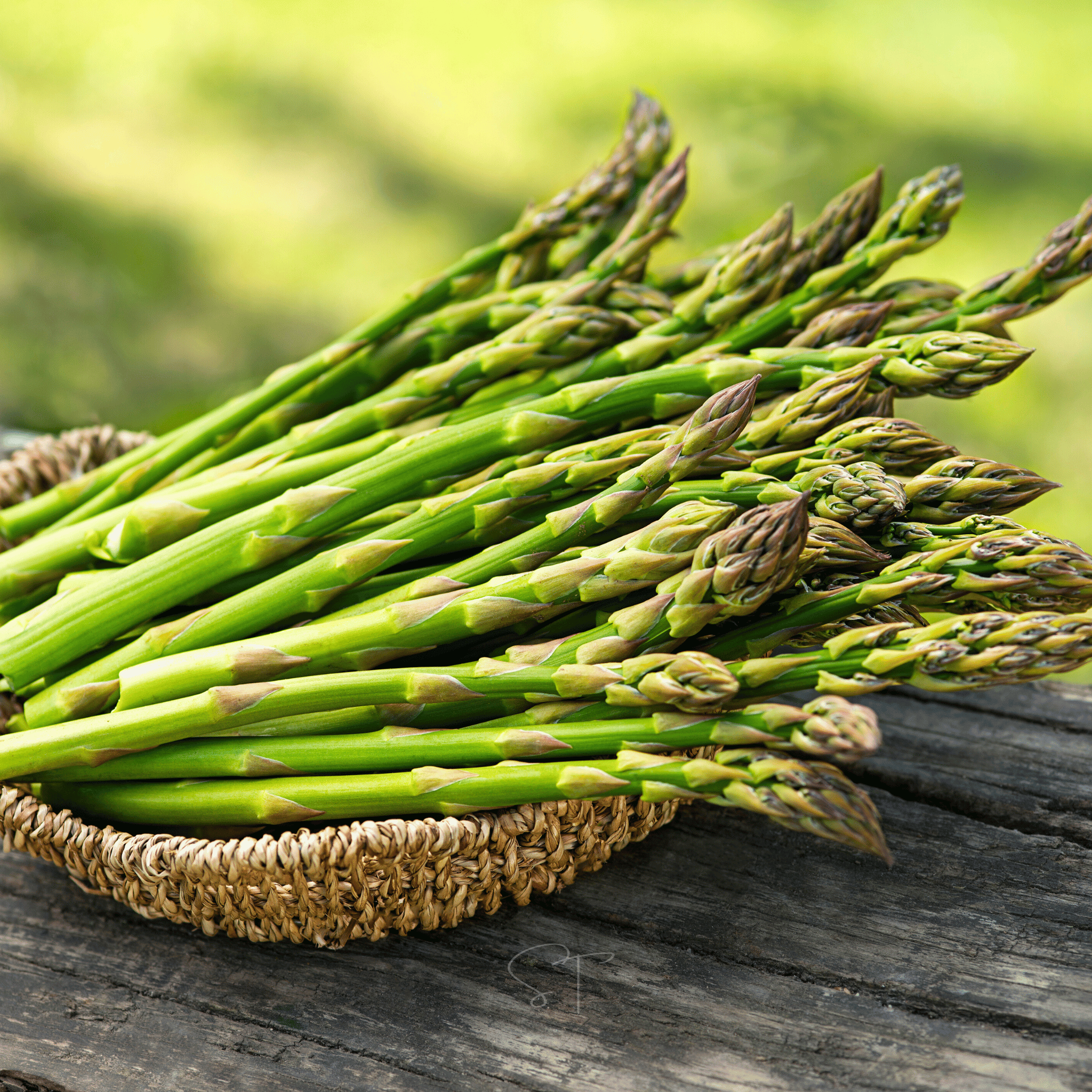 Mary Washington Asparagus – 50 Seeds